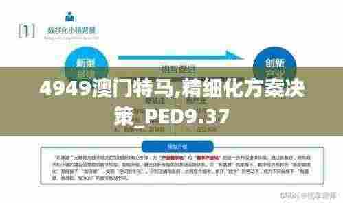 4949澳门特马,精细化方案决策_PED9.37