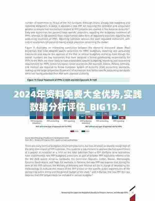 2024年资料免费大全优势,实践数据分析评估_BIG19.1