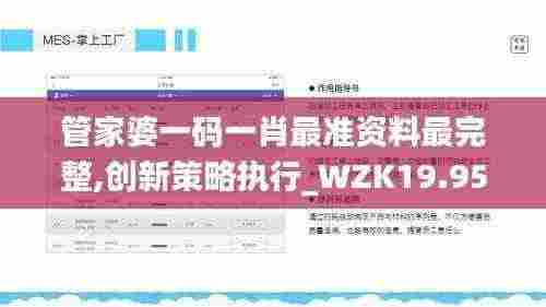 管家婆一码一肖最准资料最完整,创新策略执行_WZK19.95