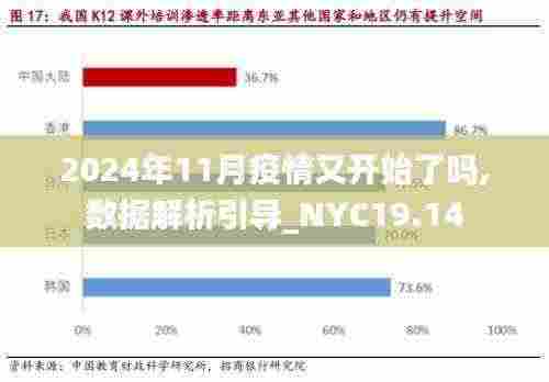2024年11月疫情又开始了吗,数据解析引导_NYC19.14