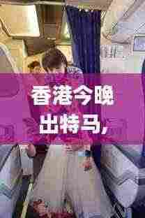 香港今晚出特马,仪器科学与技术_DSC9.16