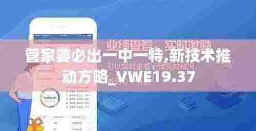 管家婆必出一中一特,新技术推动方略_VWE19.37