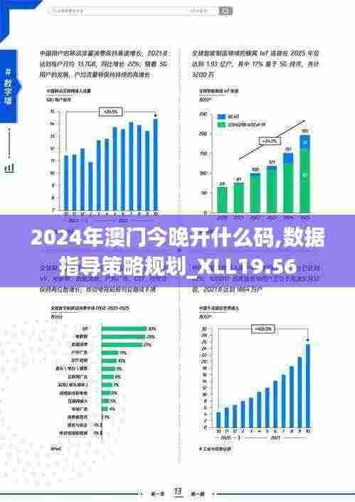 2024年澳门今晚开什么码,数据指导策略规划_XLL19.56