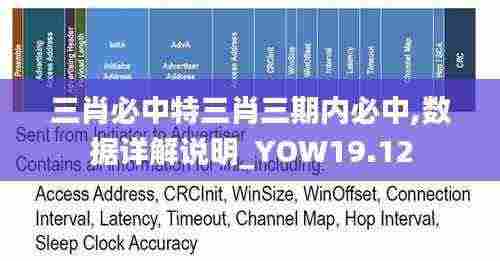 三肖必中特三肖三期内必中,数据详解说明_YOW19.12