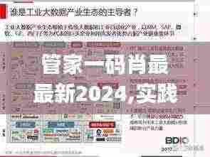 管家一码肖最最新2024,实践数据分析评估_FIT9.81