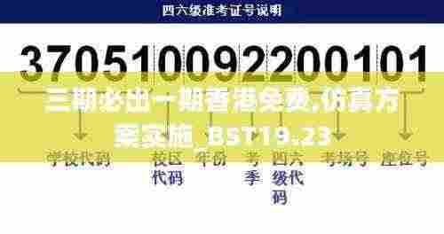 三期必出一期香港免费,仿真方案实施_BST19.23