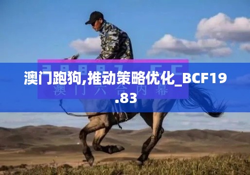 澳门跑狗,推动策略优化_BCF19.83