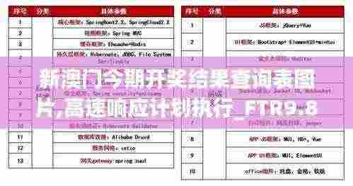 新澳门今期开奖结果查询表图片,高速响应计划执行_FTR9.86