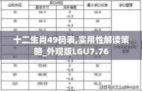 十二生肖49码表,实用性解读策略_外观版LGU7.76
