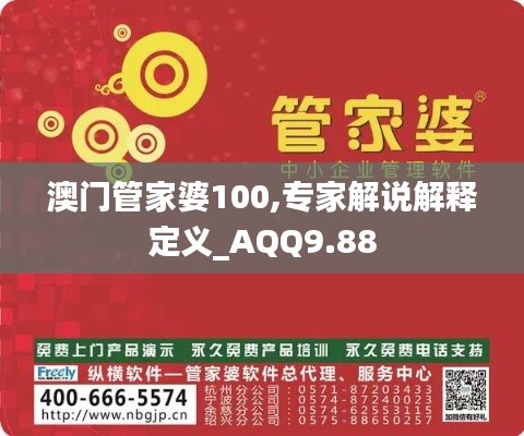 澳门管家婆100,专家解说解释定义_AQQ9.88
