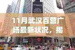 11月武汉百营广场最新状况，揭秘十一月武汉百营广场，一场自然美景的心灵之旅，启程寻找内心的宁静与平和