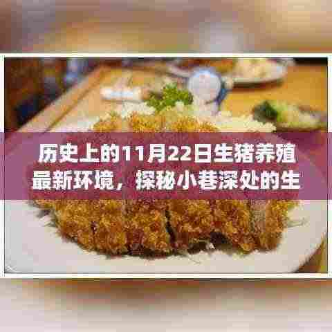 探秘小巷深处的生猪养殖旧时光馆，11月22日的历史与新生猪环境之旅揭秘