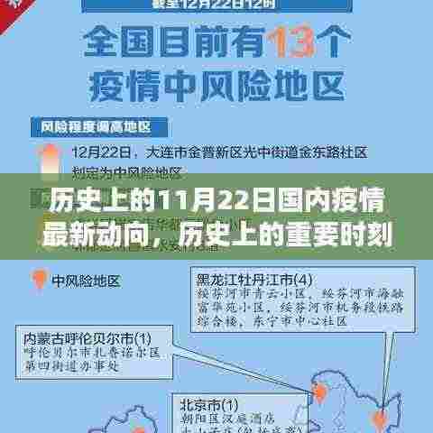 历史上的重要时刻回顾，中国疫情最新动向与未来趋势解析
