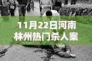 河南林州热门杀人案详解，案件解析与应对步骤指南（初学者进阶必备）