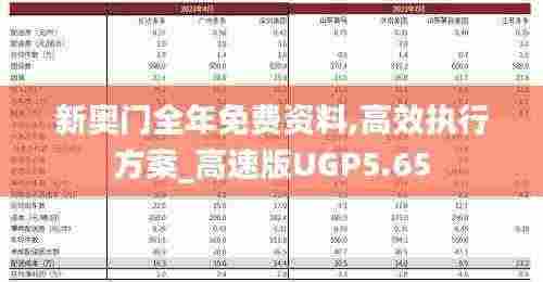 新奥门全年免费资料,高效执行方案_高速版UGP5.65