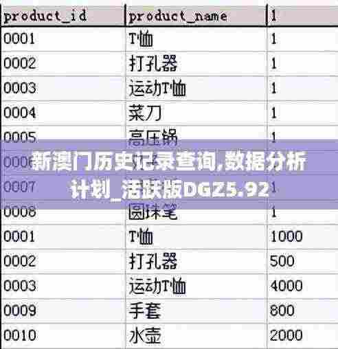 新澳门历史记录查询,数据分析计划_活跃版DGZ5.92