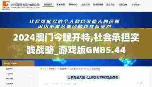 2024澳门今晚开特,社会承担实践战略_游戏版GNB5.44