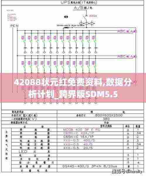 42088状元红免费资料,数据分析计划_跨界版SDM5.5