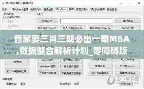 管家婆三肖三期必出一期MBA,数据整合解析计划_零障碍版IQT5.77