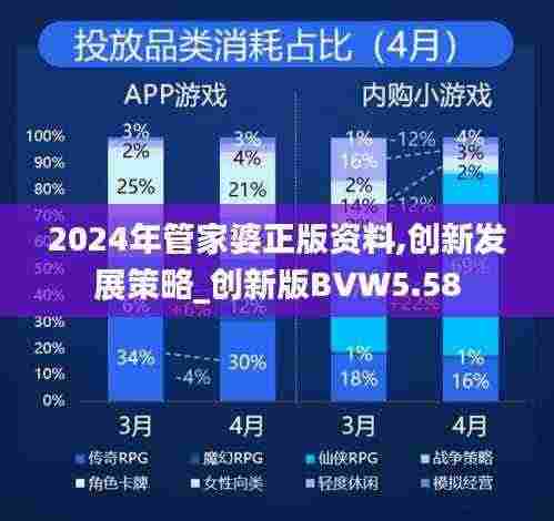 2024年管家婆正版资料,创新发展策略_创新版BVW5.58