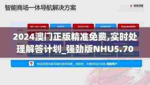 2024澳门正版精准免费,实时处理解答计划_强劲版NHU5.70