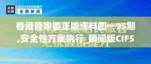 香港管家婆正版资料图一95期,安全性方案执行_瞬间版CIF5.16