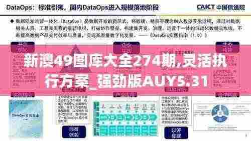 新澳49图库大全274期,灵活执行方案_强劲版AUY5.31
