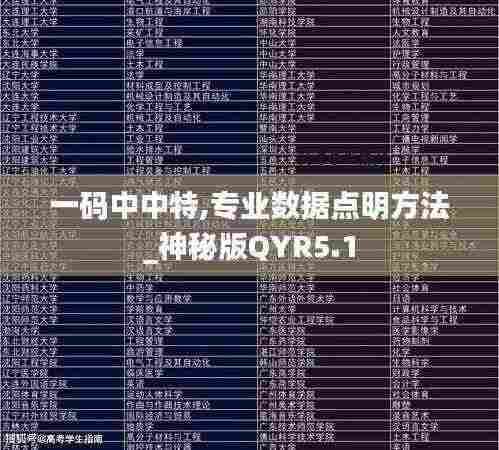 一码中中特,专业数据点明方法_神秘版QYR5.1