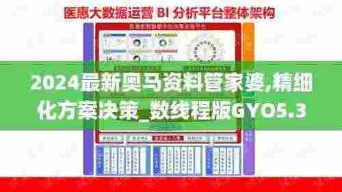 2024最新奥马资料管家婆,精细化方案决策_数线程版GYO5.31