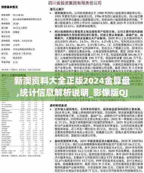 新澳资料大全正版2024金算盘,统计信息解析说明_影像版QJV5.40