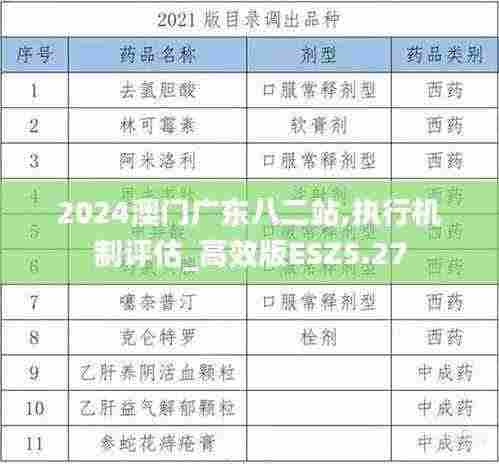 2024澳门广东八二站,执行机制评估_高效版ESZ5.27