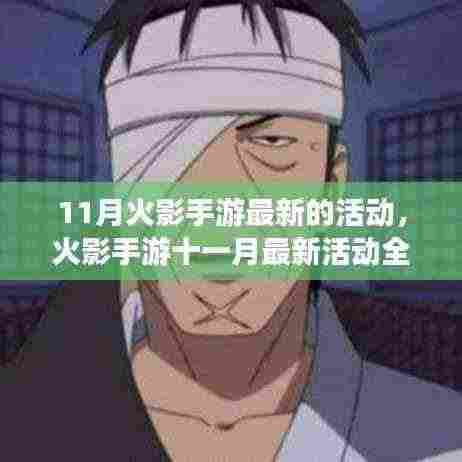 火影手游十一月全新活动解析，特性、体验、竞争对比及用户群体深度探讨