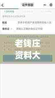 老钱庄资料大全免费,实地验证策略具体_便签版SPV5.35