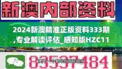 2024新澳精准正版资料333期,专业解读评估_感知版HZC11.83
