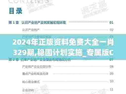 2024年正版资料免费大全一肖329期,稳固计划实施_专属版CRF11.79
