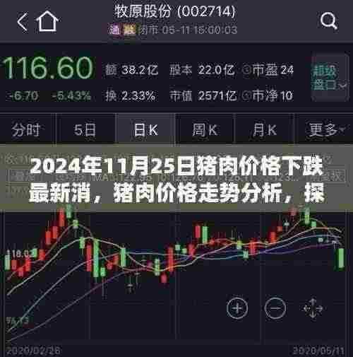 猪肉价格下跌背后的因素与影响，以2024年11月25日为例的走势分析