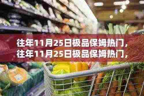 往年11月25日极品保姆热门,全面评测与深度解析报告揭秘!