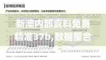 新澳内部资料免费精准37b,数据整合决策_见证版BCI13.15