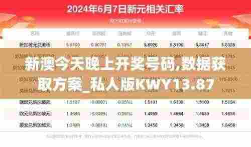 新澳今天晚上开奖号码,数据获取方案_私人版KWY13.87