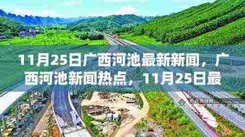 广西河池热点新闻资讯，11月25日最新动态总览