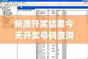 新澳开奖结果今天开奖号码查询,效率评估方案_远程版CNY13.36