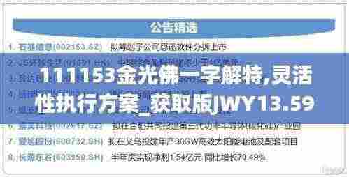 111153金光佛一字解特,灵活性执行方案_获取版JWY13.59