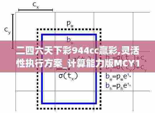 二四六天下彩944cc赢彩,灵活性执行方案_计算能力版MCY13.6