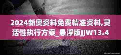 2024新奥资料免费精准资料,灵活性执行方案_悬浮版JJW13.4