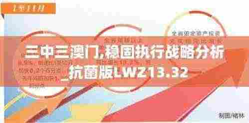 三中三澳门,稳固执行战略分析_抗菌版LWZ13.32