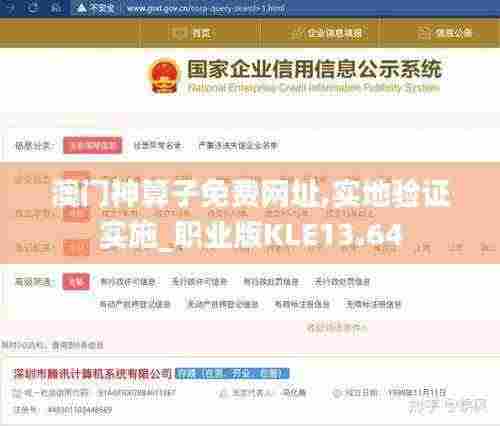 澳门神算子免费网址,实地验证实施_职业版KLE13.64