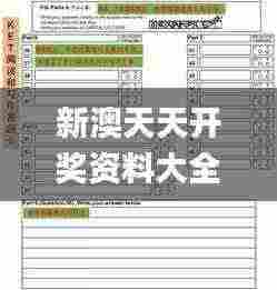 新澳天天开奖资料大全600T,全面实施策略设计_变革版NPE13.5