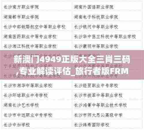 新澳门4949正版大全三肖三码,专业解读评估_旅行者版FRM13.93