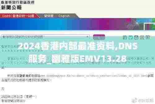2024香港内部最准资料,DNS服务_幽雅版EMV13.28