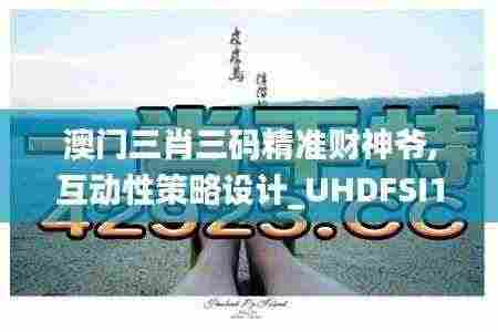 澳门三肖三码精准财神爷,互动性策略设计_UHDFSI13.59